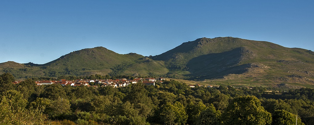 ALDEIA DE GRALHAS